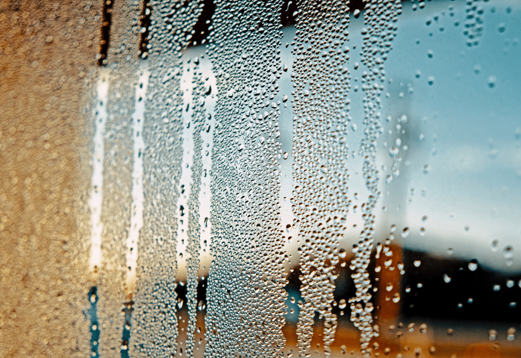Image of condensation inside a storage container